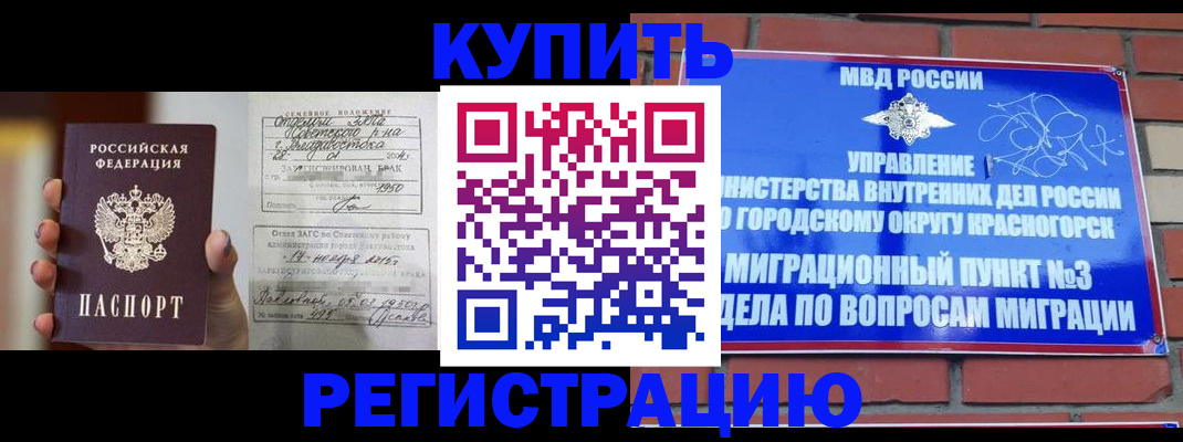 прописка в квартире в Звенигово