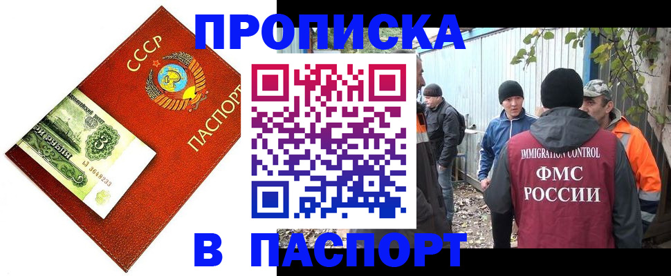 купить прописку в Звенигово